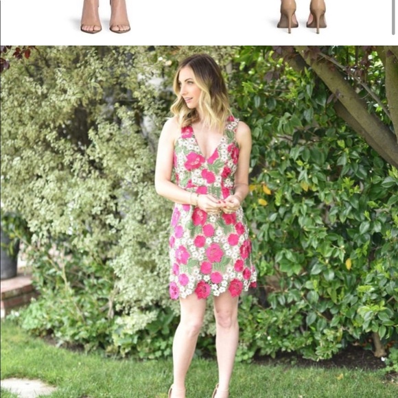 Dress the Population Lace Mina Cocktail Dress - Picture 4 of 5